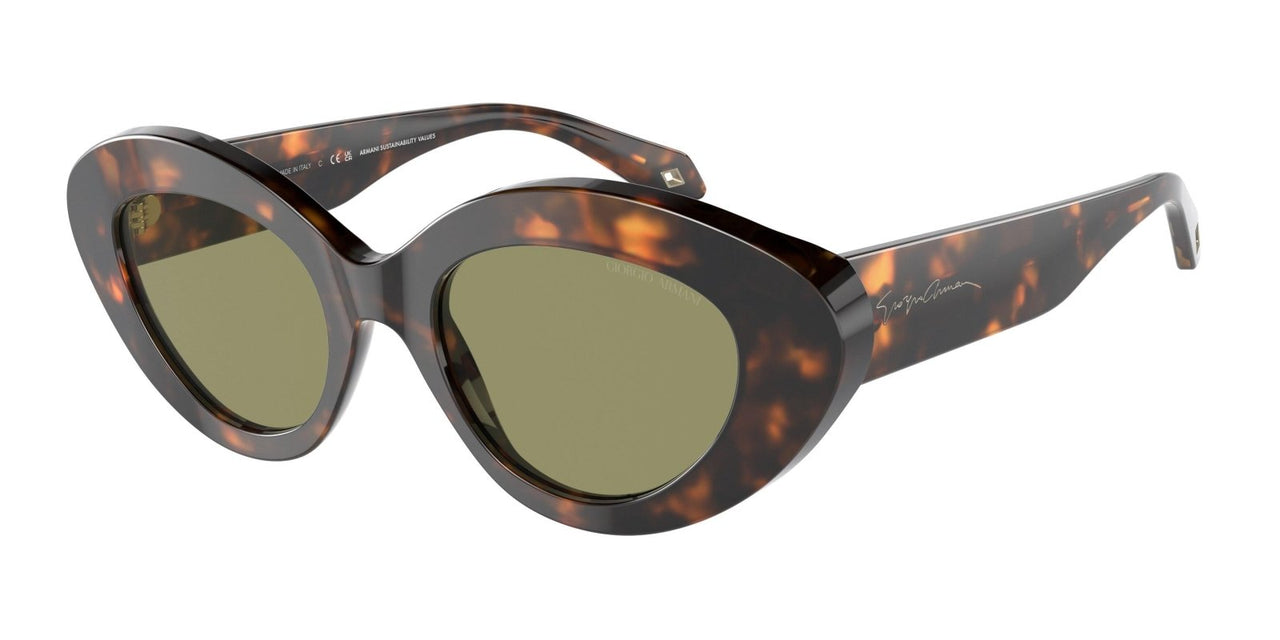 Giorgio Armani 8188 Sunglasses